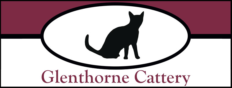 Glenthorne Cattery